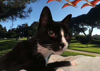 Scrappy with dinos.png